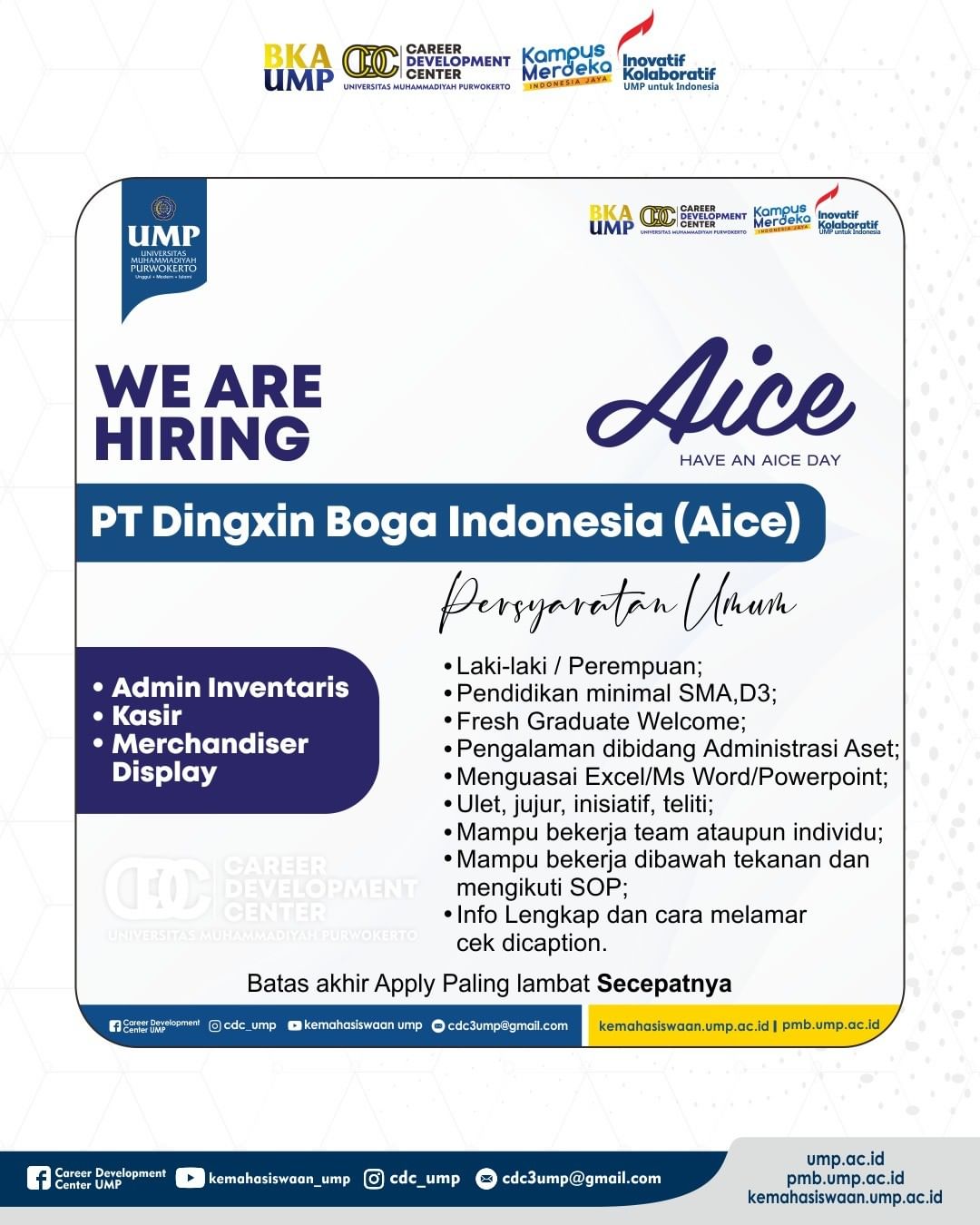 PT Dingxin boga Indonesia (Aice)